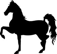 PFERD.TIF