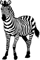ZEBRA6.TIF