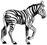 ZEBRA2.TIF