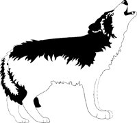 WOLF5.TIF