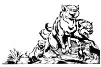 WOLF4.TIF