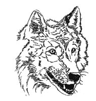 WOLF3.TIF