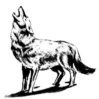 WOLF1.TIF