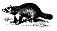 WASCHB1.TIF