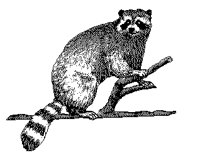 WASCHB.TIF