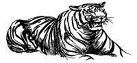 TIGER6.TIF