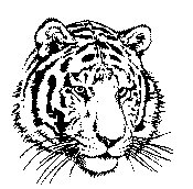 TIGER5.TIF