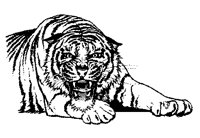 TIGER4.TIF