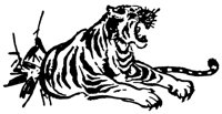 TIGER1.TIF