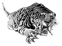 TIGER.TIF