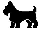 TERRIER1.TIF