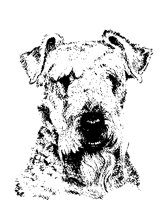 TERRIER.TIF