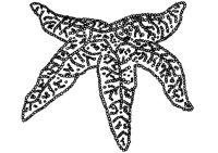 S_STTERN.TIF