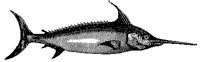 S_FISCH1.TIF