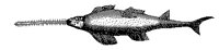 S_FISCH.TIF