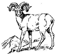 ST_BOCK2.TIF