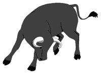 STIER2.TIF