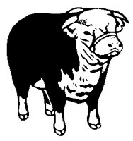 STIER.TIF