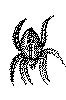 SPINNE1.TIF