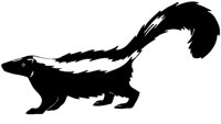 SKUNK2.TIF