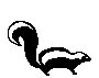 SKUNK.TIF