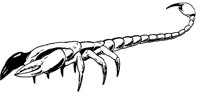 SKORPION.TIF