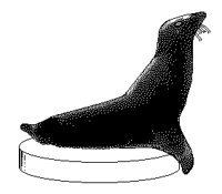 SEEHUND.TIF