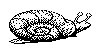SCHNECKE.TIF