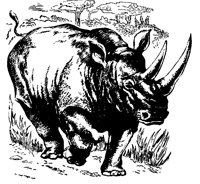 RHINO.TIF