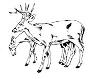 REHE02.TIF