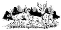 REHE01.TIF