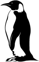 PINGUIN3.TIF