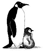 PINGUIN2.TIF