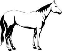 PFERD19.TIF