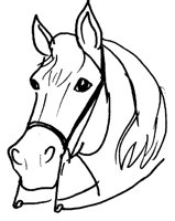 PFERD15.TIF