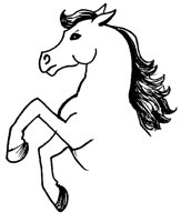 PFERD13.TIF