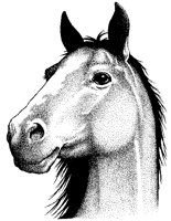 PFERD12.TIF