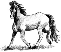 PFERD11.TIF