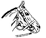 PFERD06.TIF