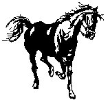 PFERD05.TIF