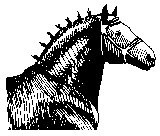 PFERD04.TIF