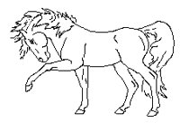 PFERD02.TIF