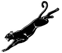 PANTHER1.TIF