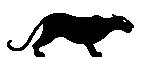 PANTHER.TIF