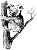 PANDA4.TIF