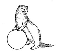 OTTER.TIF