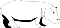 N_PFERD.TIF