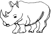 NASHORN1.TIF