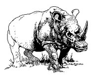 NASHORN.TIF