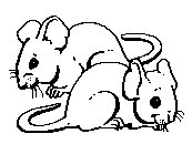 MAUS4.TIF